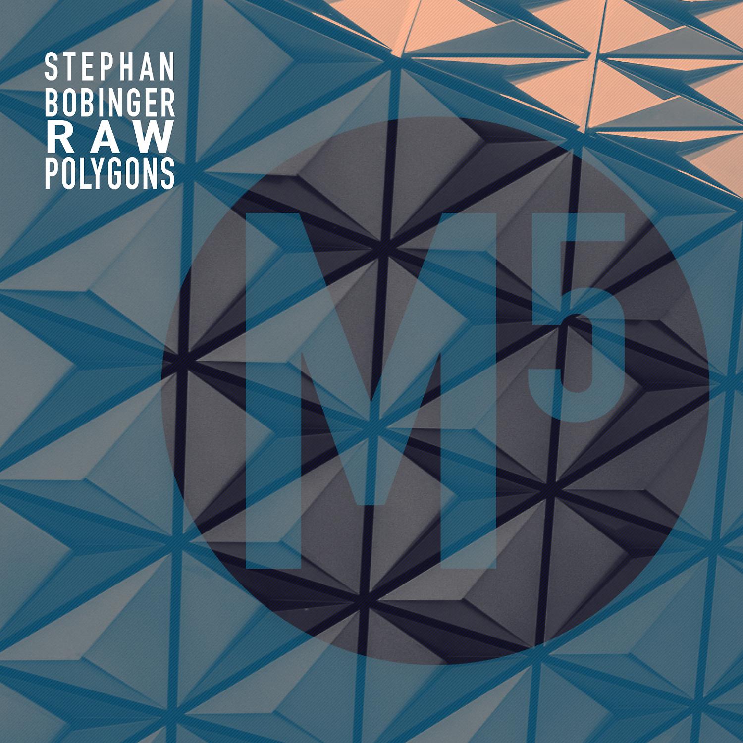Постер альбома Raw Polygons EP