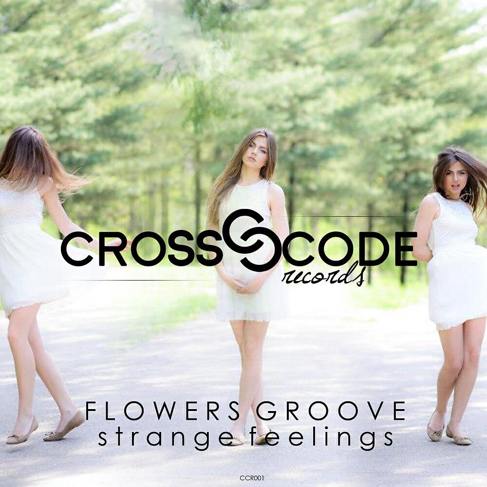 Flowers Groove - Strange Feelings (Random Hero Remix)
