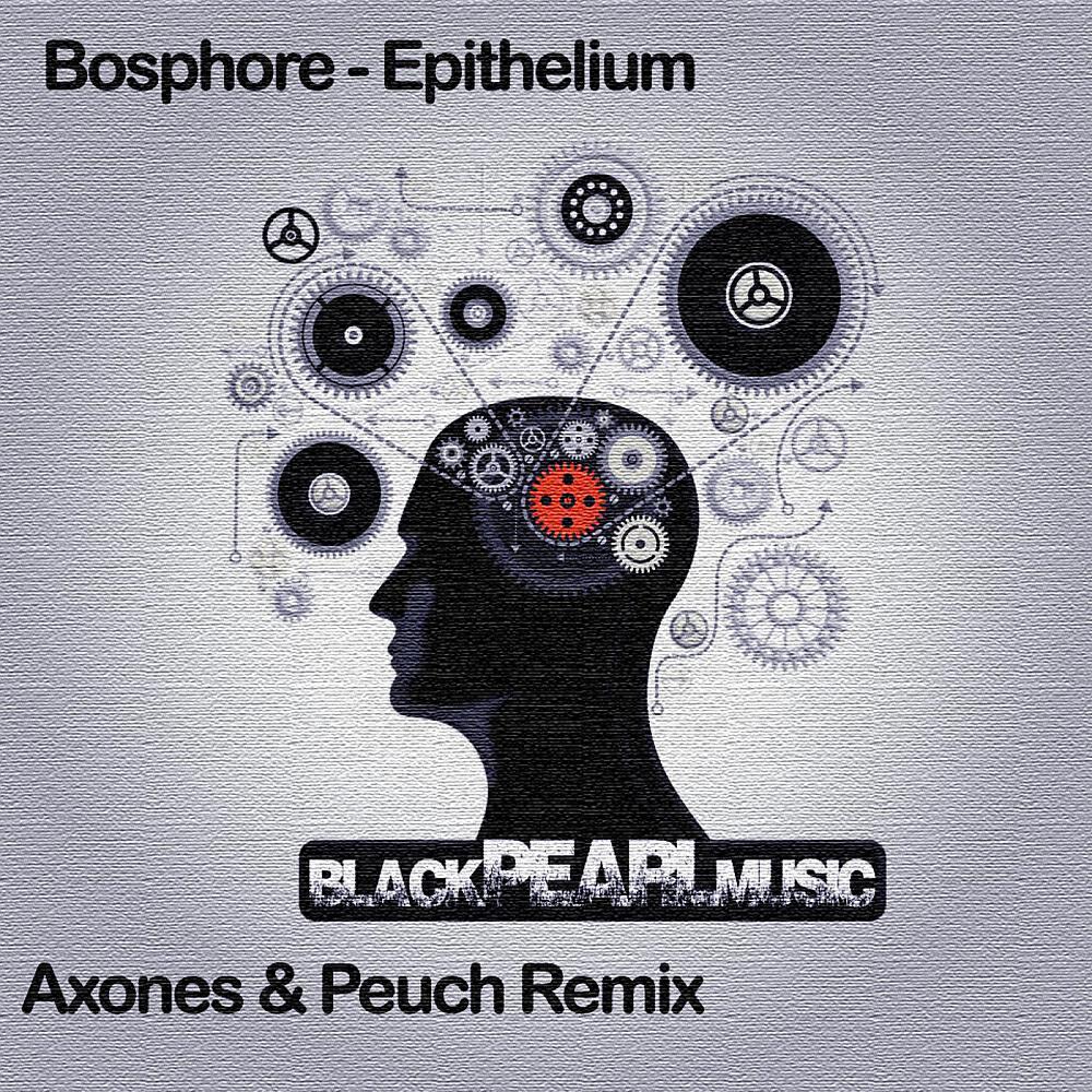 Bosphore - Epithelium