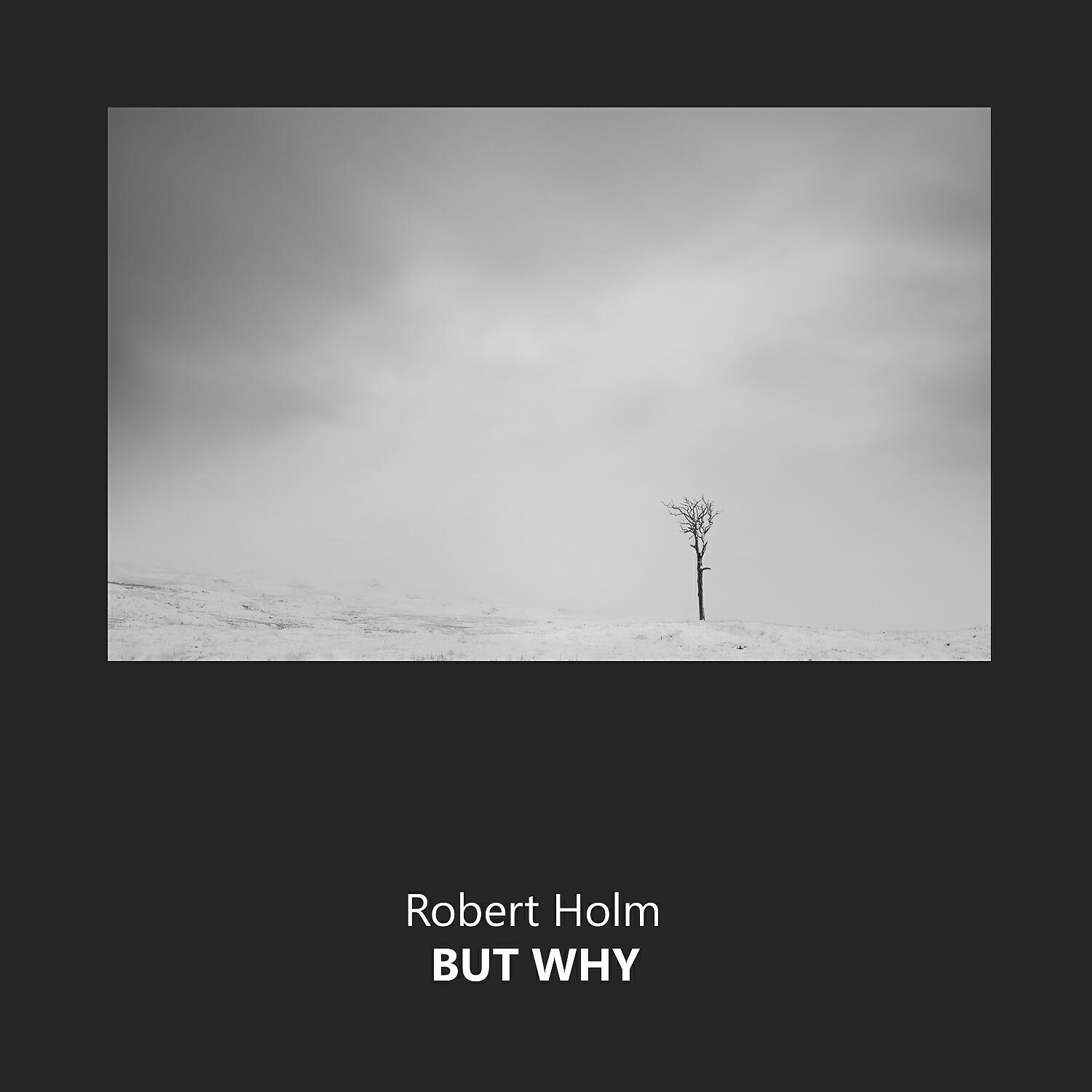 Robert Holm - Improv (Original Mix)