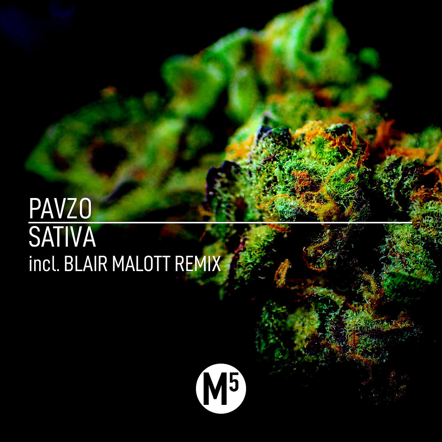 Pavzo - Sativa (Blair Malott Indica Mix)