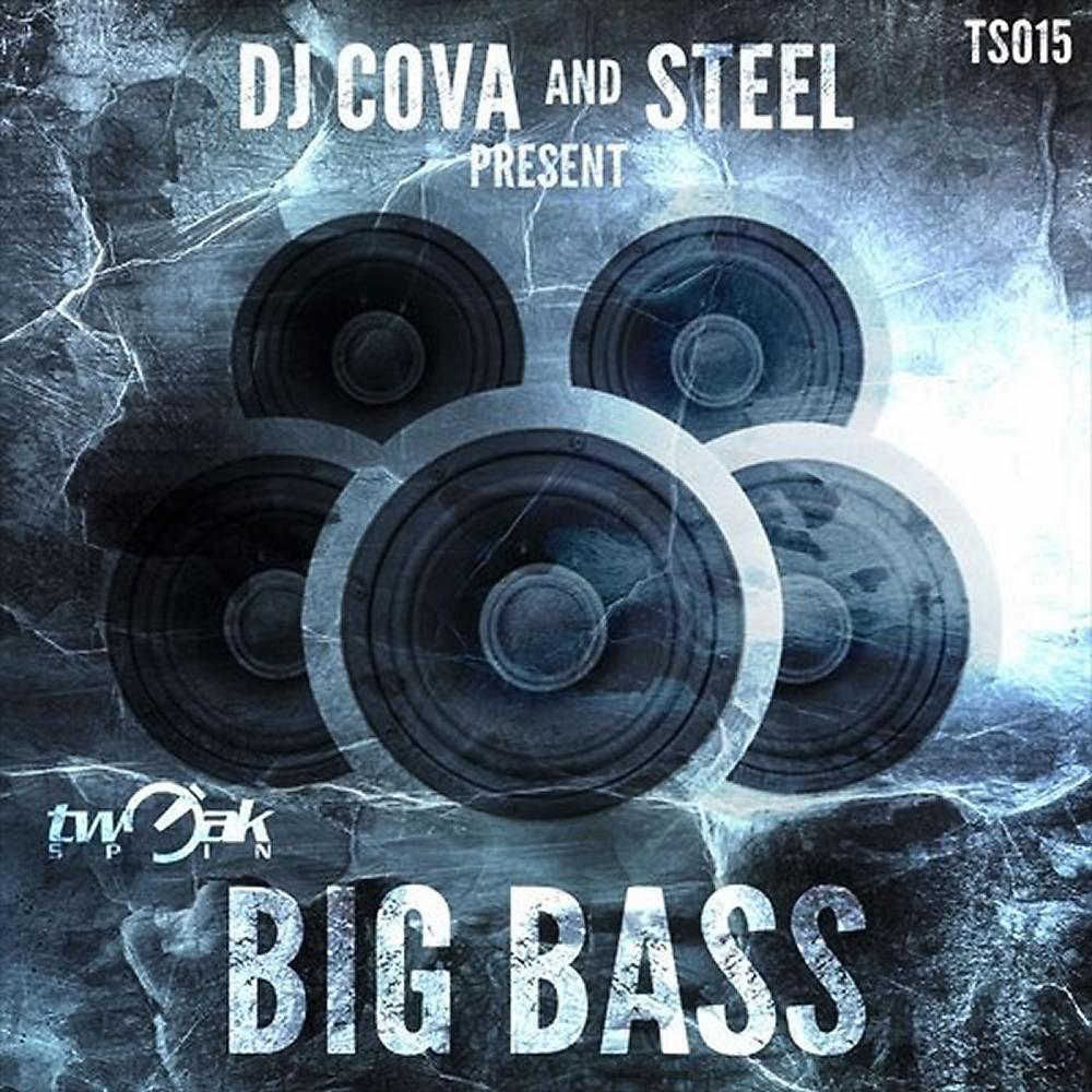Постер альбома Big Bass