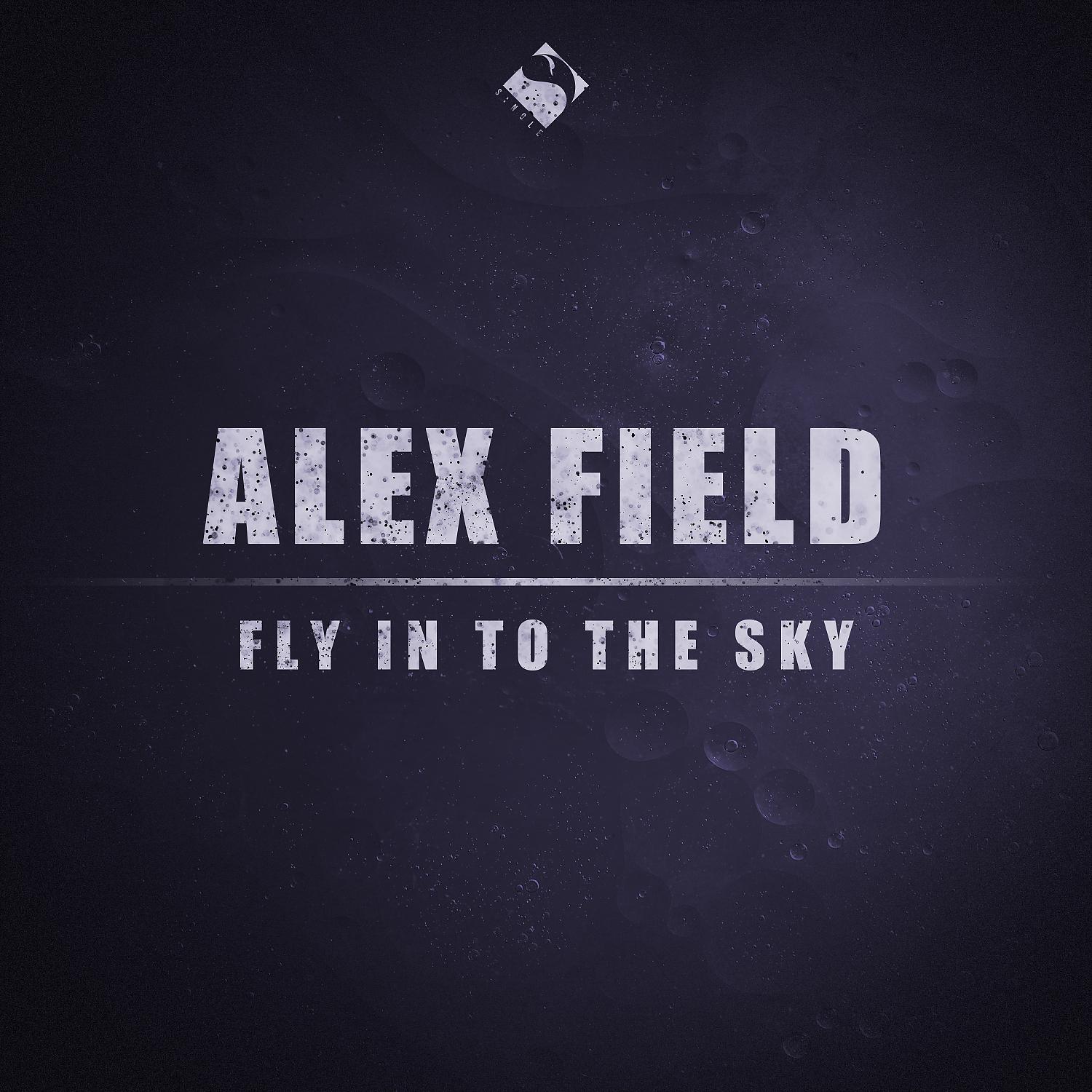 Постер альбома Fly in to the Sky