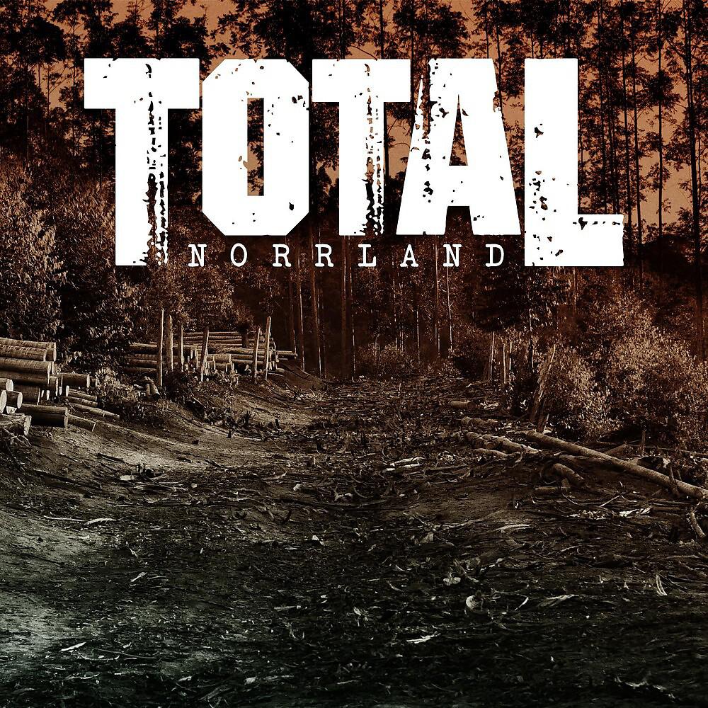 Постер альбома Norrland