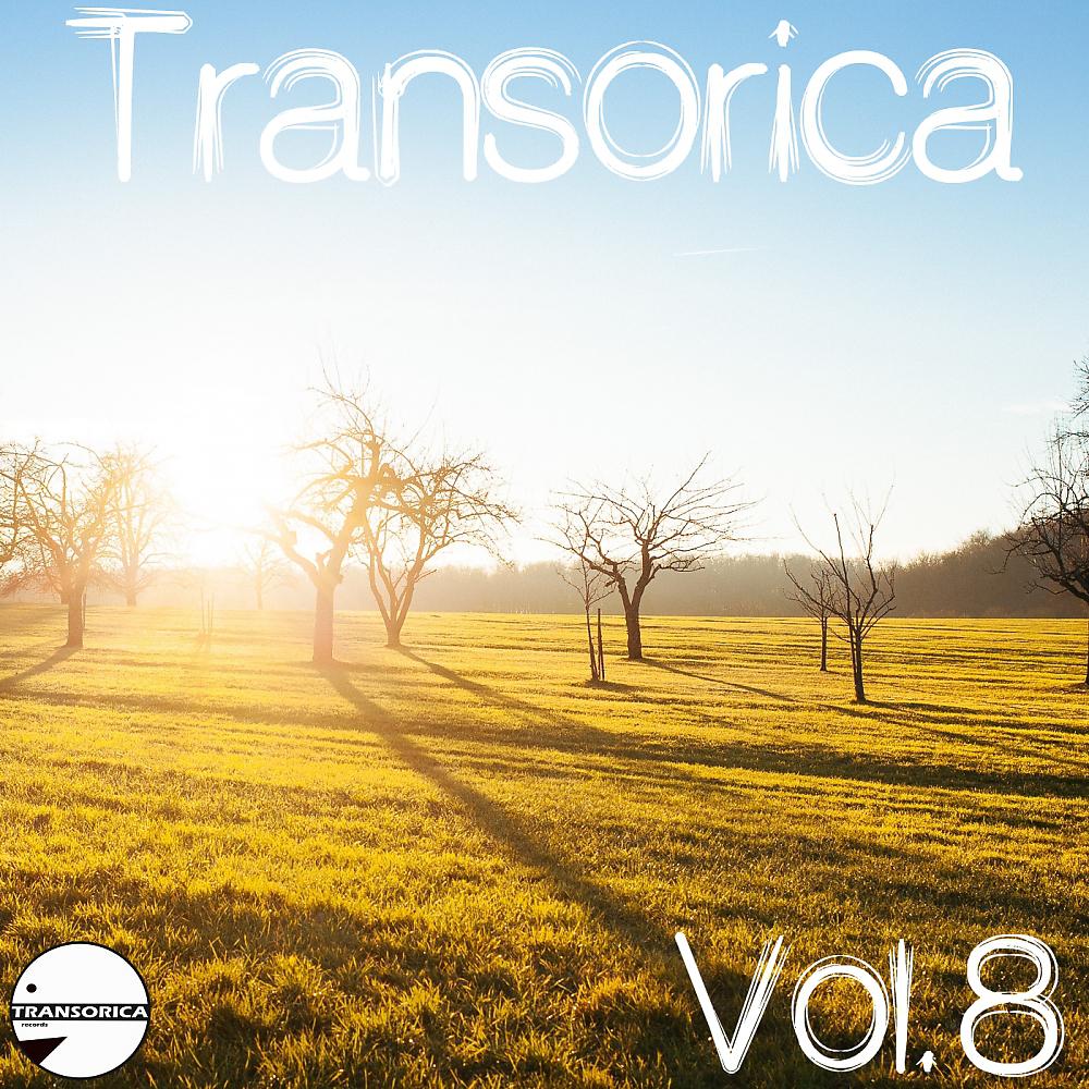 Постер альбома Transorica Vol. 8