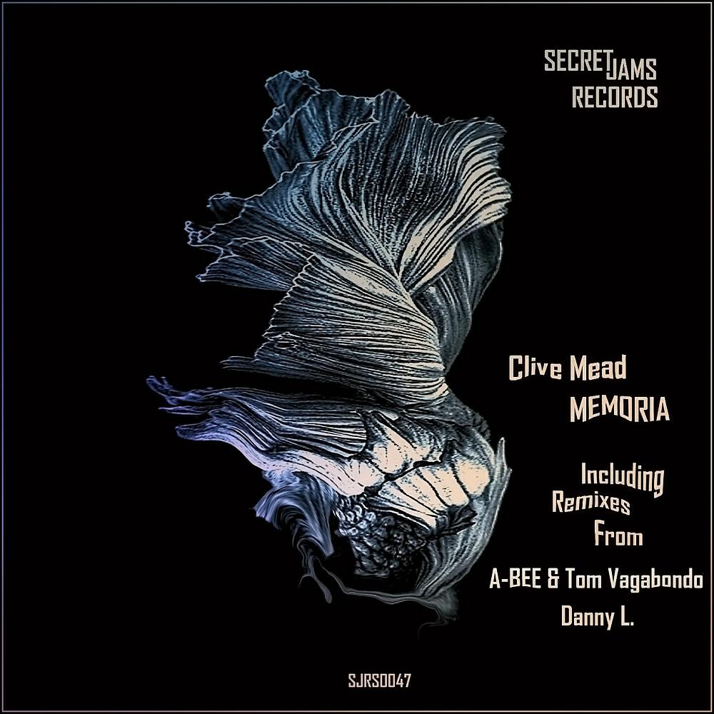 Clive Mead - Memoria (A-Bee & Tom Vagabondo Remix)