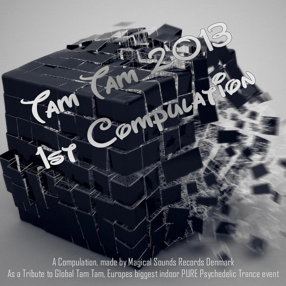 Постер альбома Tam Tam 2013 Compulation