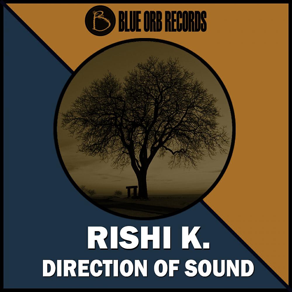 Rishi K. - Direction Of Sound (Richard Scholtz Remix)