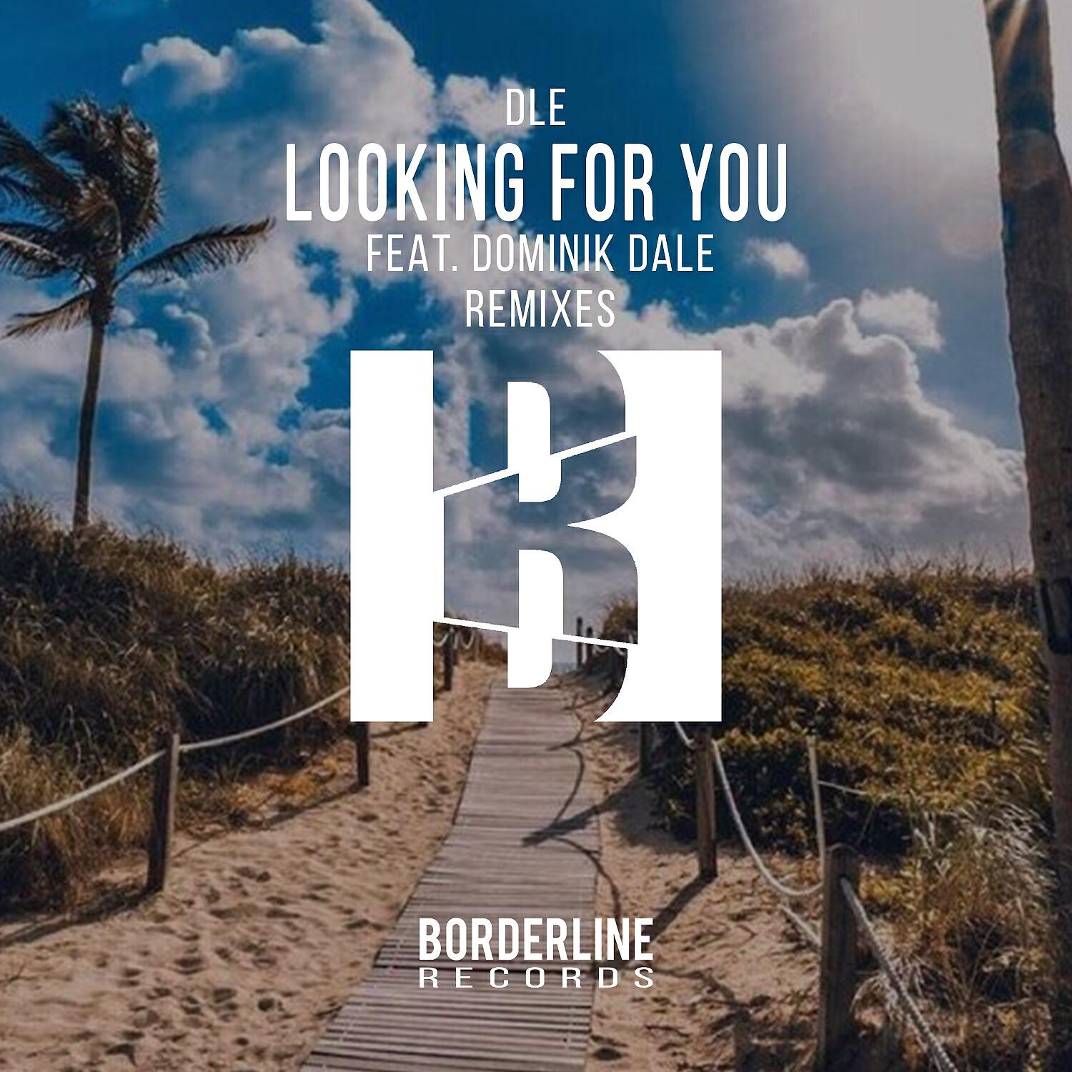 DLE - Looking for You (Daniel Tonik Remix)