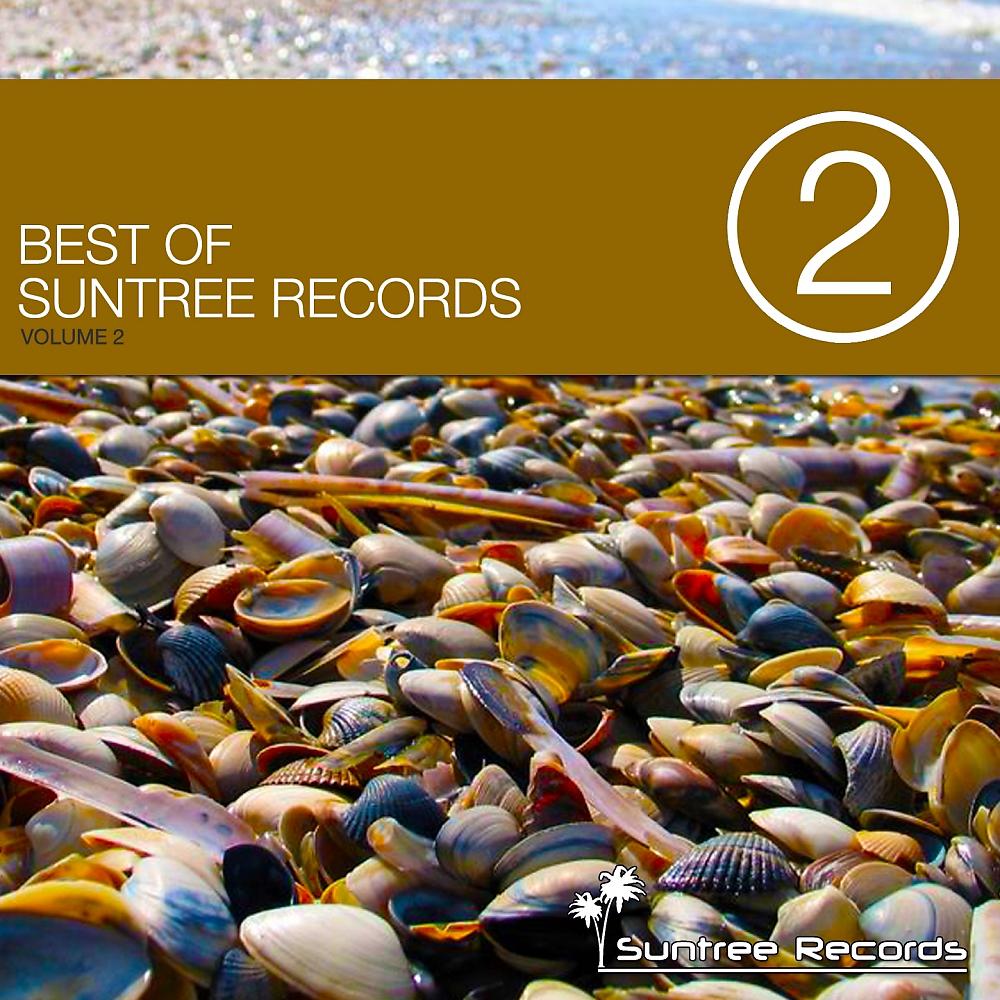 Постер альбома Best of Suntree Records Vol. 2