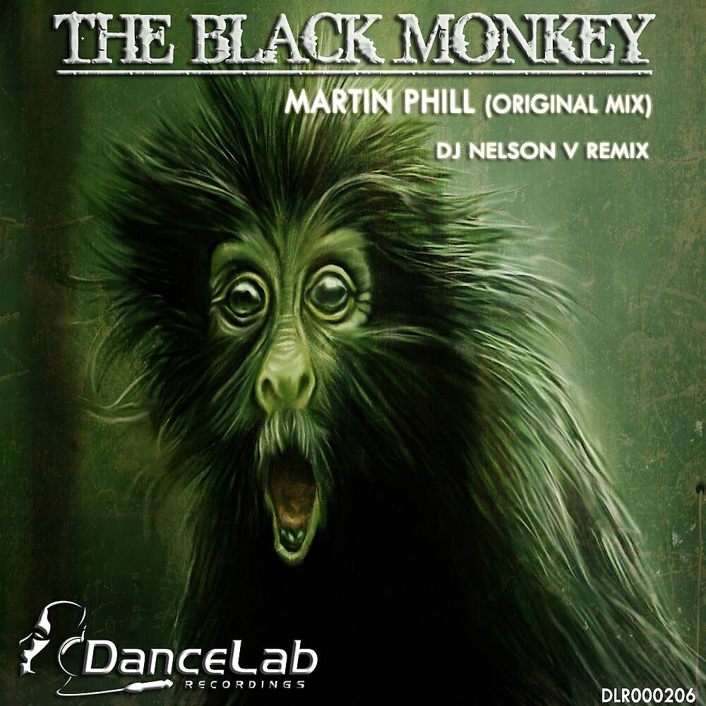 Martin Phill - The Black Monkey (Nelson V Remix)