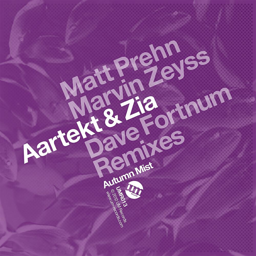 Aartekt - Autumn Mist (Matt Prehn Remix)