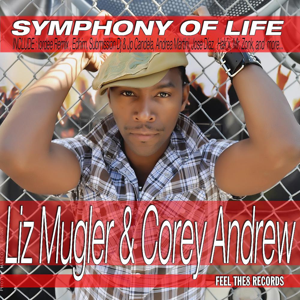Постер альбома Symphony of Life