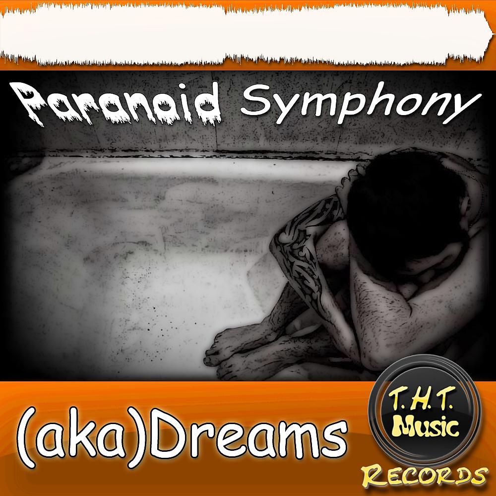 Постер альбома Paranoid Symphony
