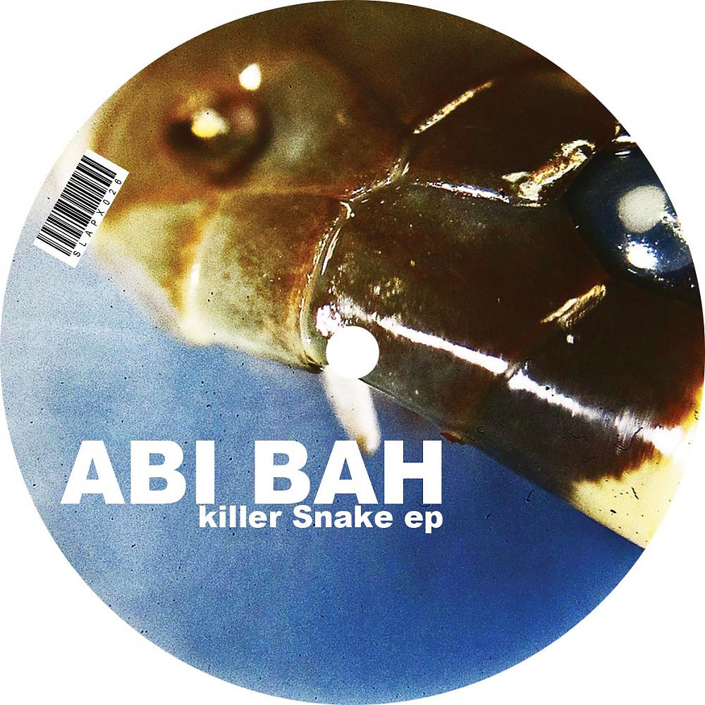 Постер альбома Killer Snake EP