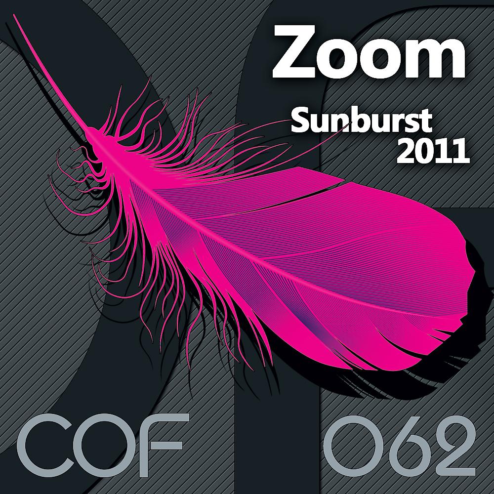 Постер альбома Sunburst 2011