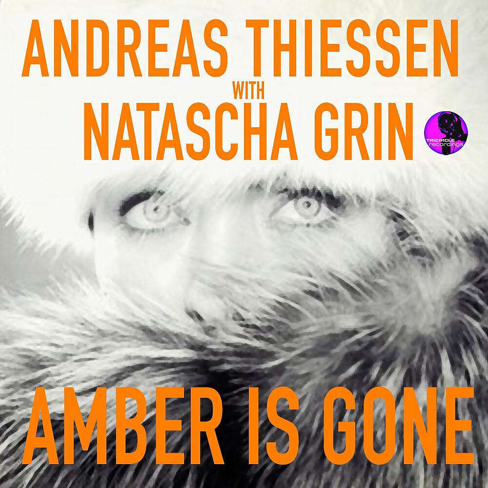 Andreas Thiessen - Amber Is Gone (Deep Josh Remix)