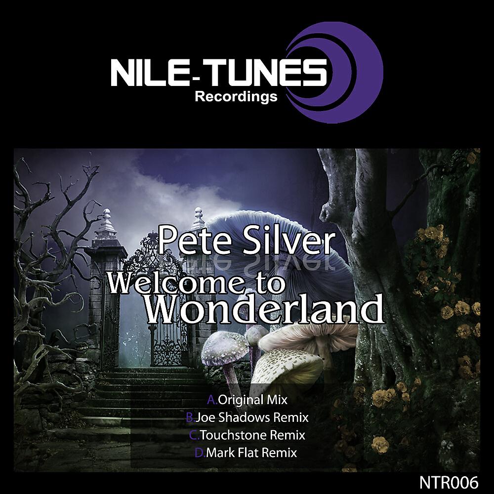 Pete Silver - Welcome To Wonderland (Touchstone Remix)