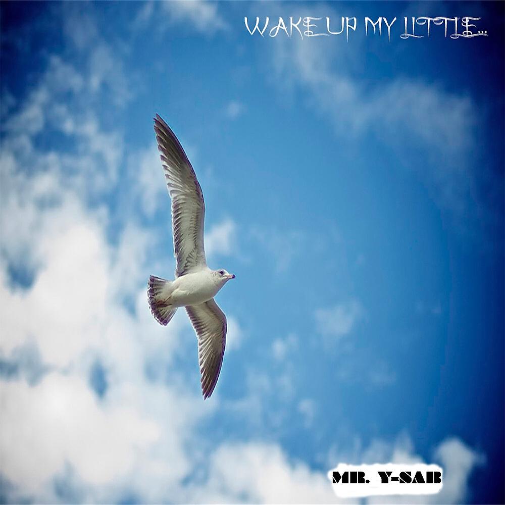 Mr. Y-Sab - Wake Up My Little (Qube Project Remix)