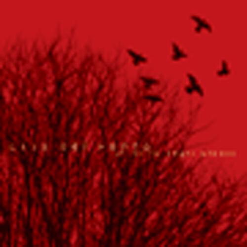 Casa Del Vento - Settanta rose (Album version)