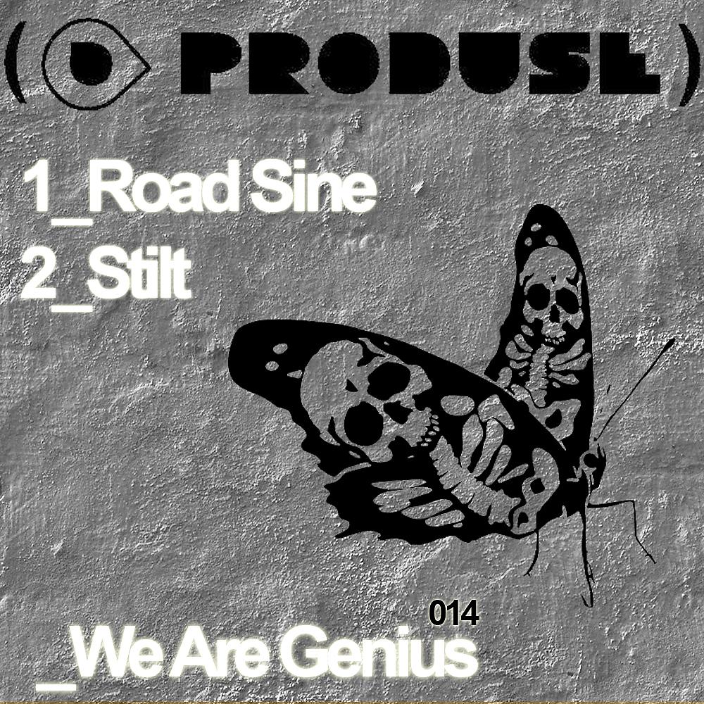 Постер альбома Road Sine / Stilt