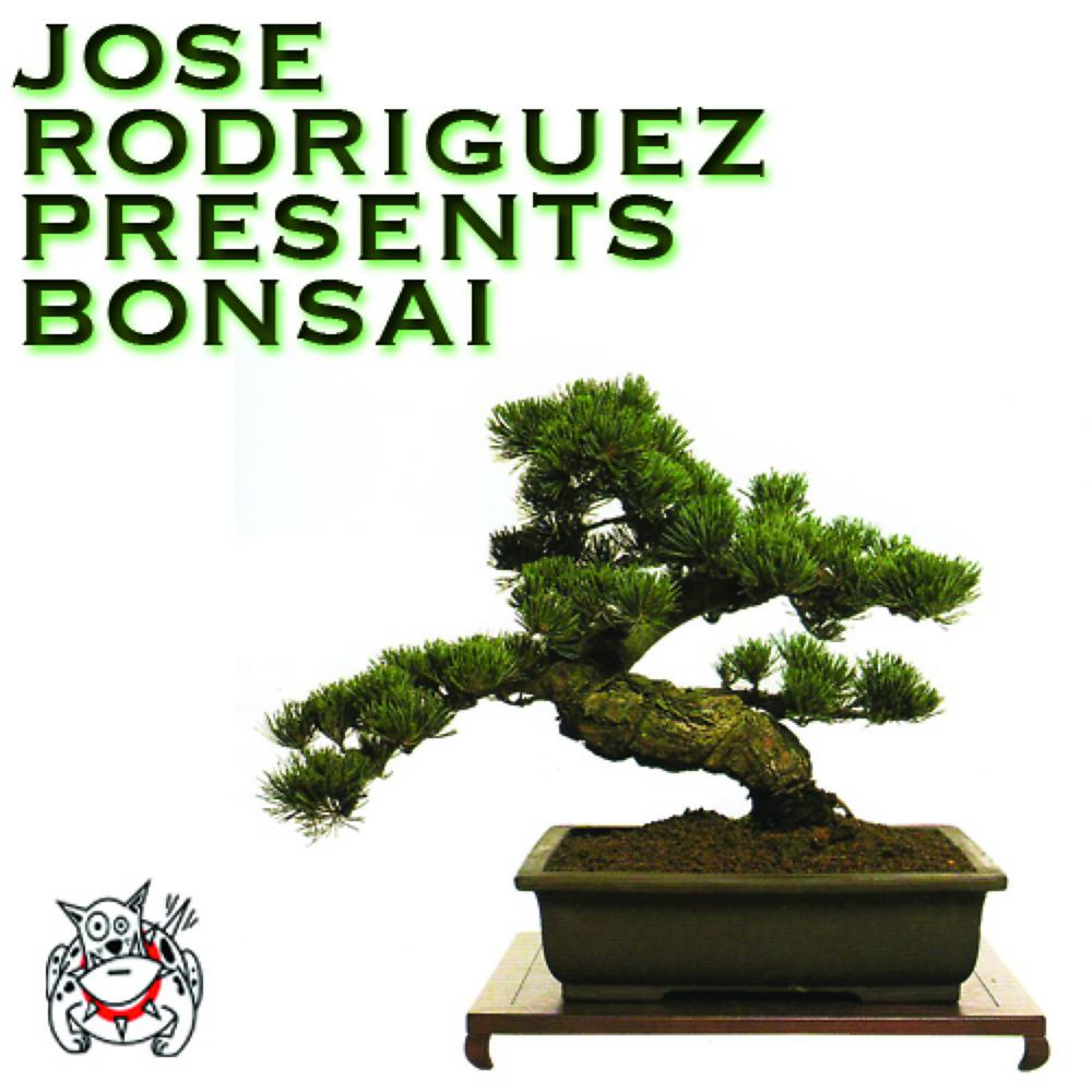 Постер альбома Bonsai