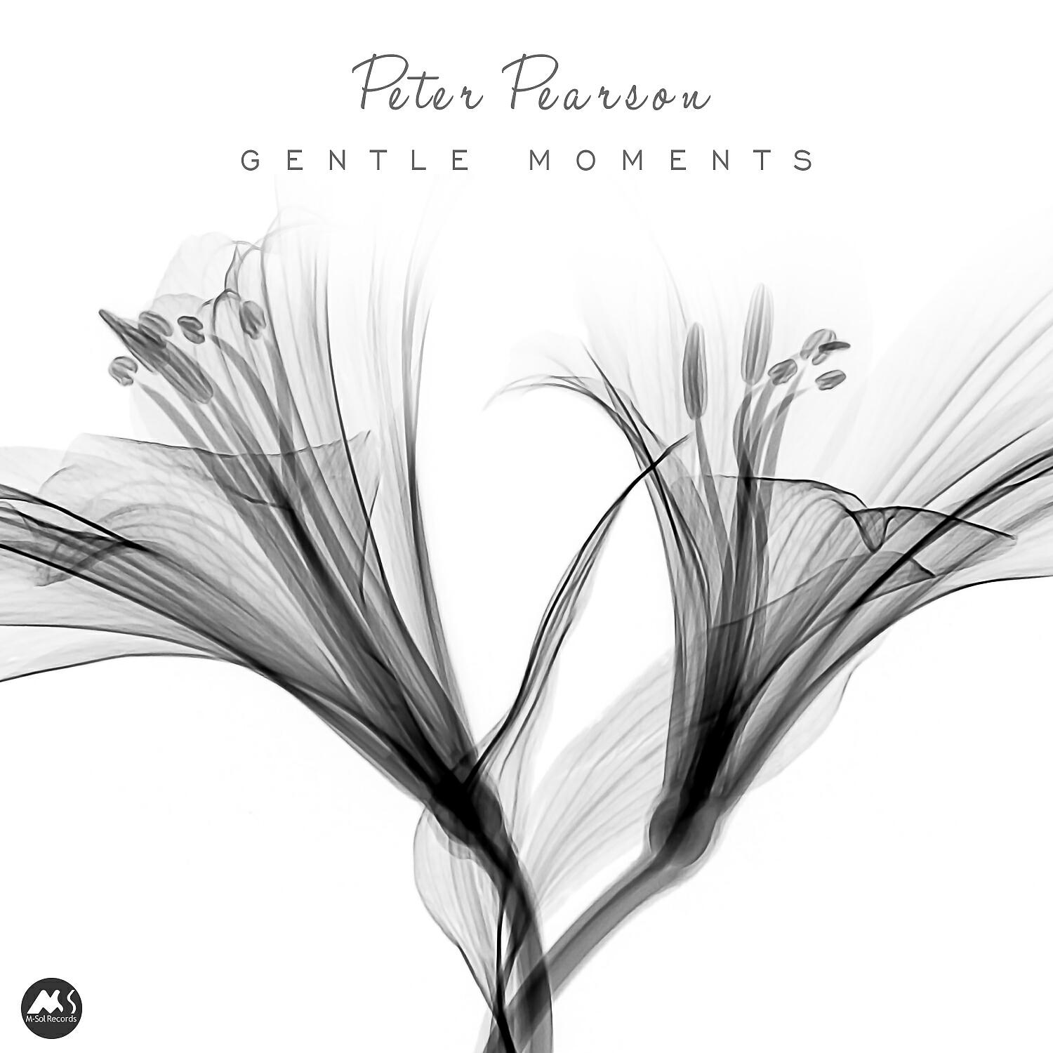 Peter Pearson - Tenderhooks (Original Mix)