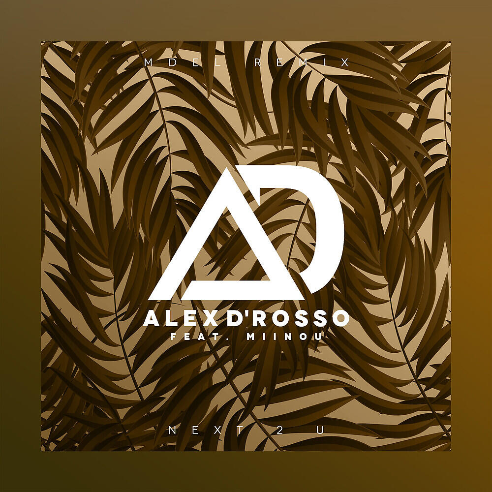 Alex D'Rosso - Next 2 U (MDEL Remix)