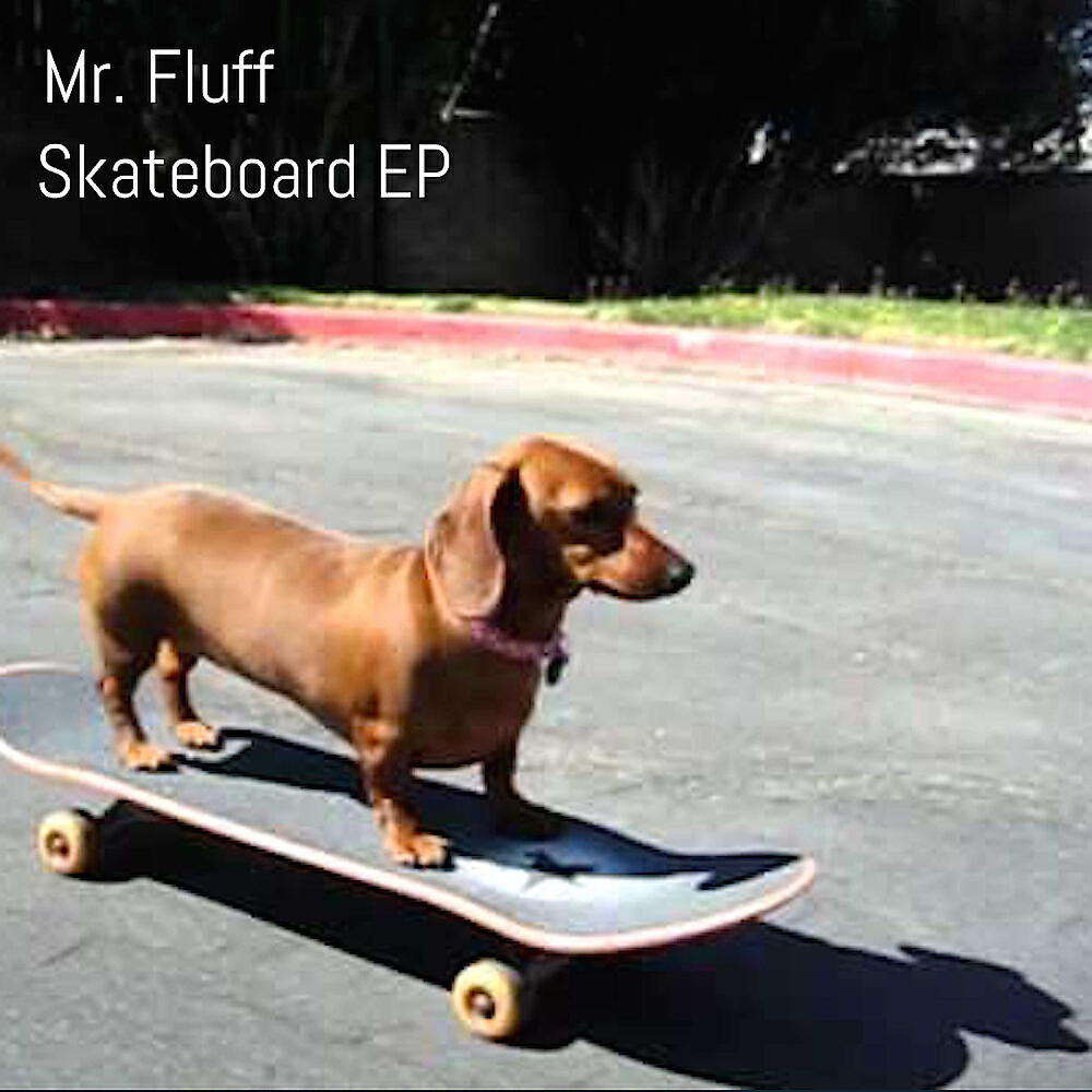 Mr. Fluff - El Toro
