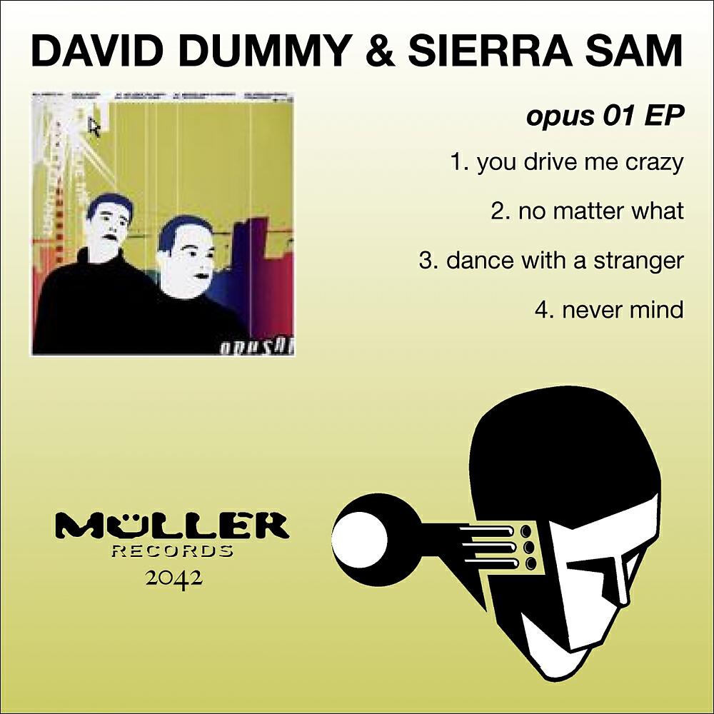 David Dummy - Never Mind