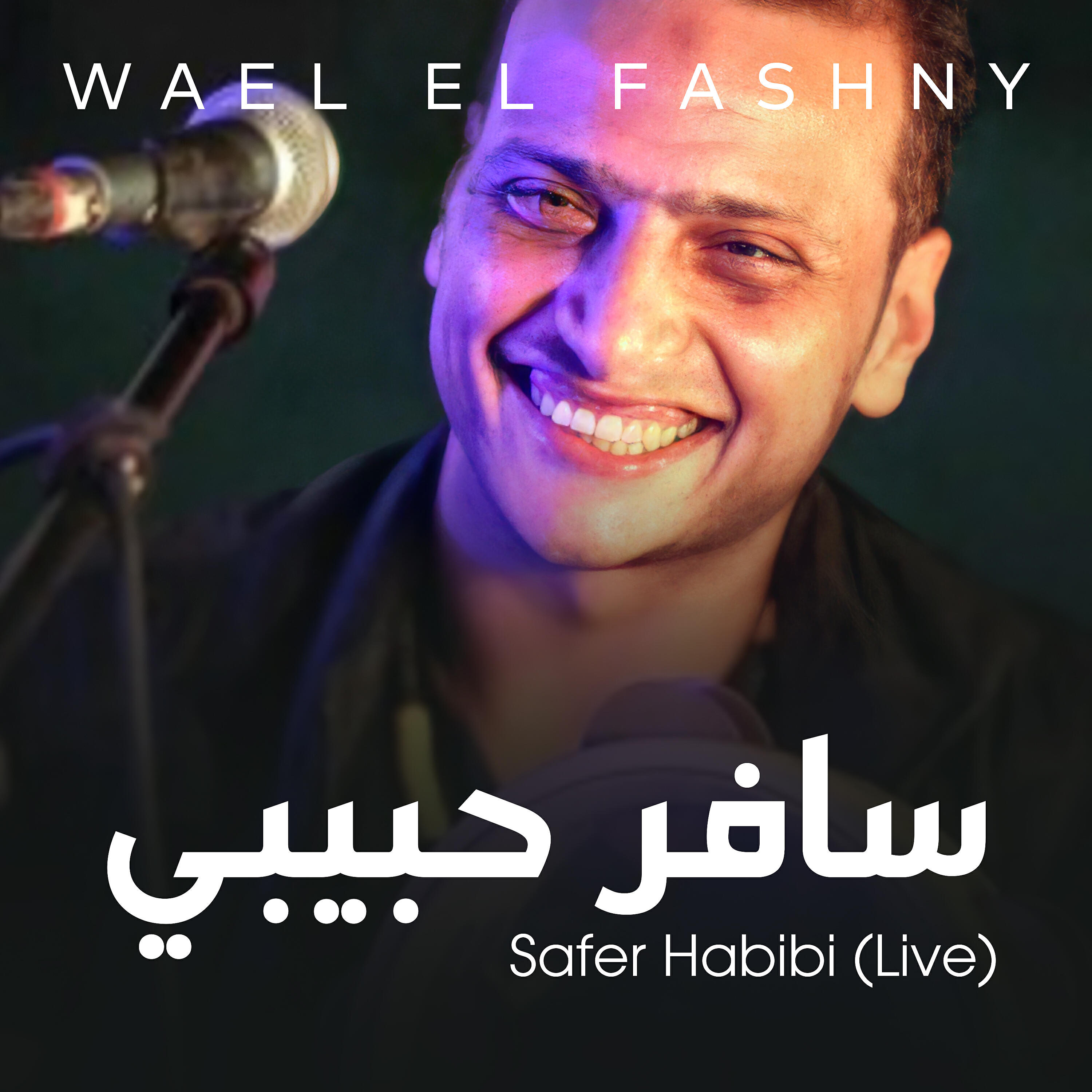 Wael El Fashny - Safer Habibi (Live)