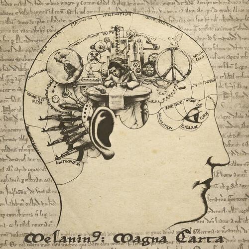 Melanin 9 - Organised Democracy