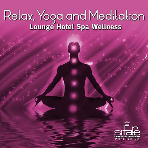 Постер альбома Relax, Yoga and Meditation, Vol. 4 (Lounge Hotel Spa Wellness)