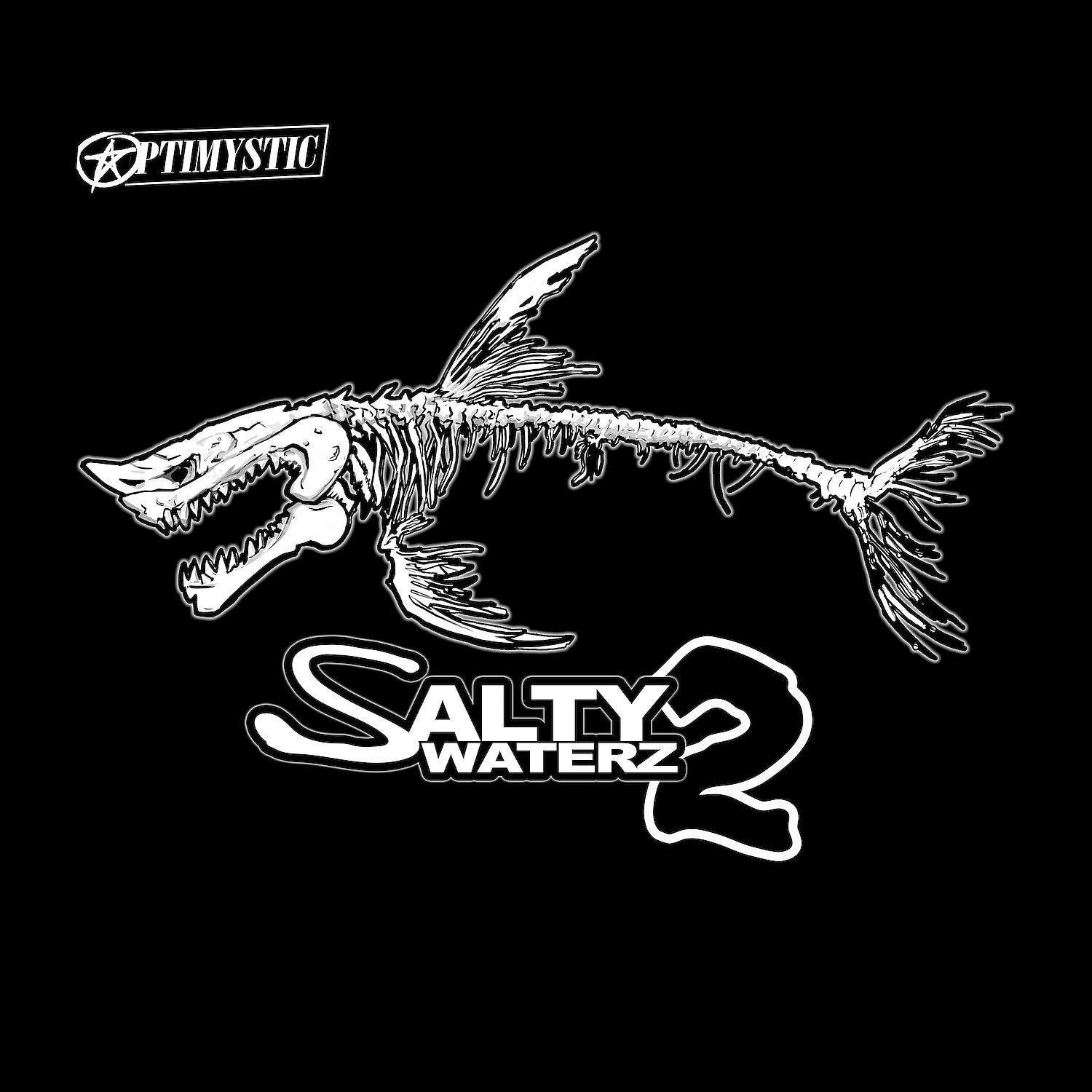 Постер альбома Salty Waterz 2