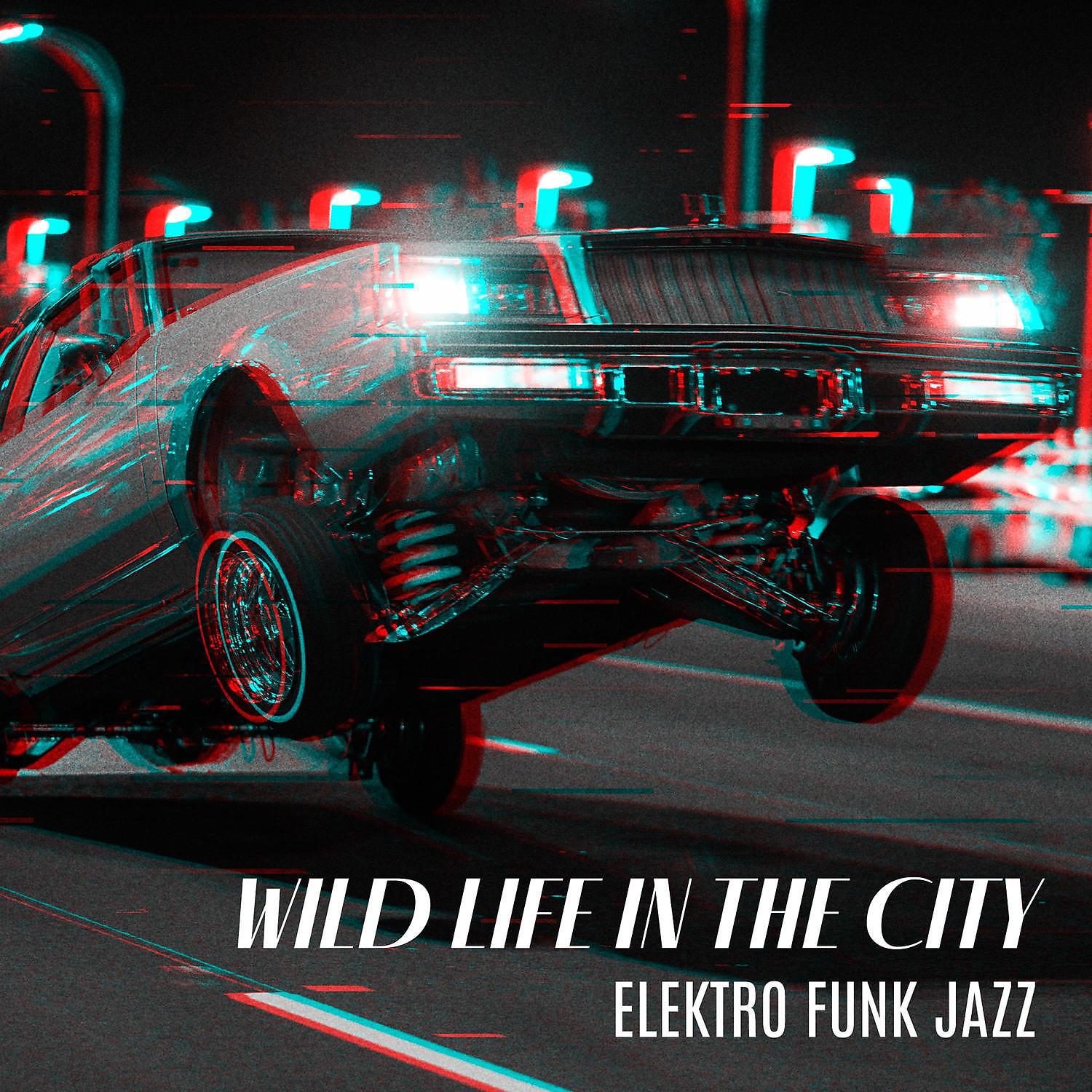 Постер альбома Wild Life in the City: Elektro Funk Jazz - Study Break Music Relax