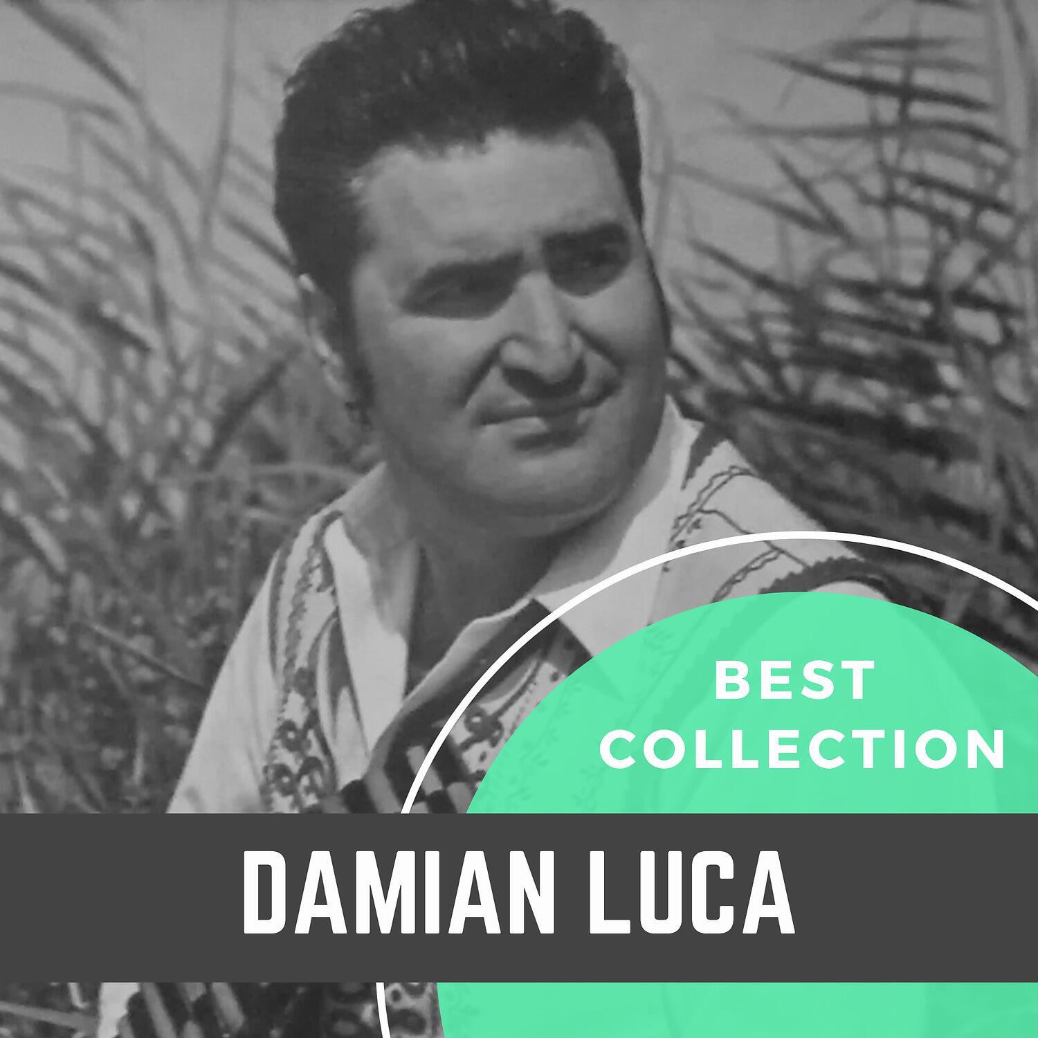 Damian Luca - Vatecusul