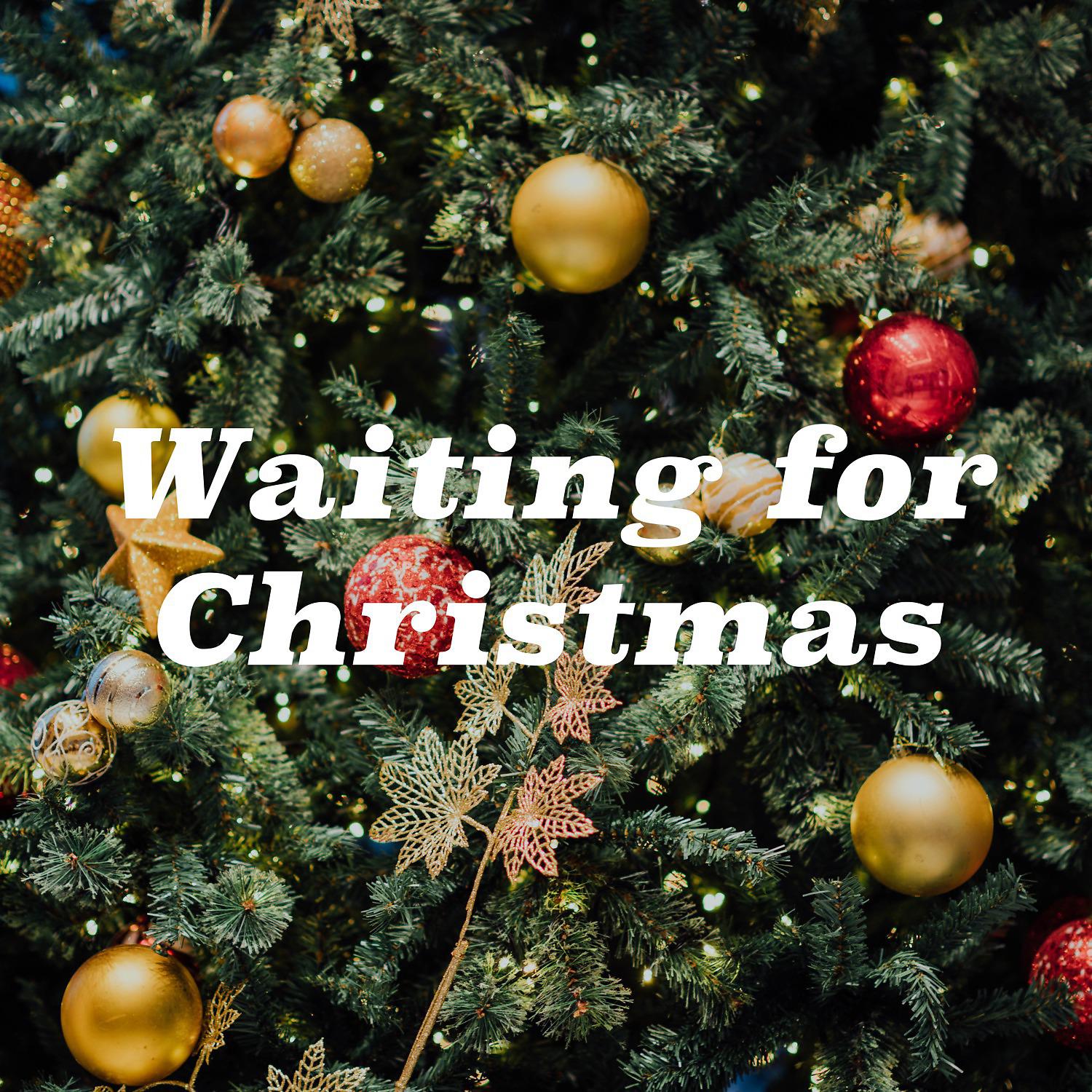Постер альбома Waiting for Christmas