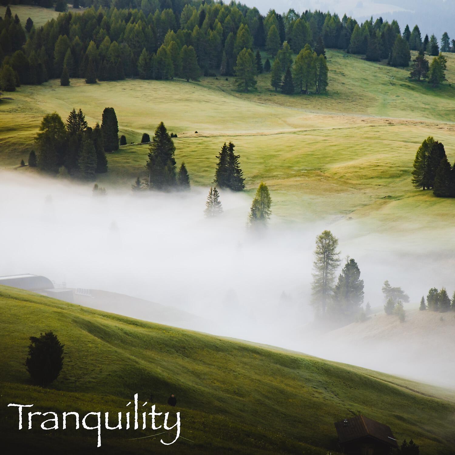 Tranquility Spree - Morning Music (Sounds of the Country Side)