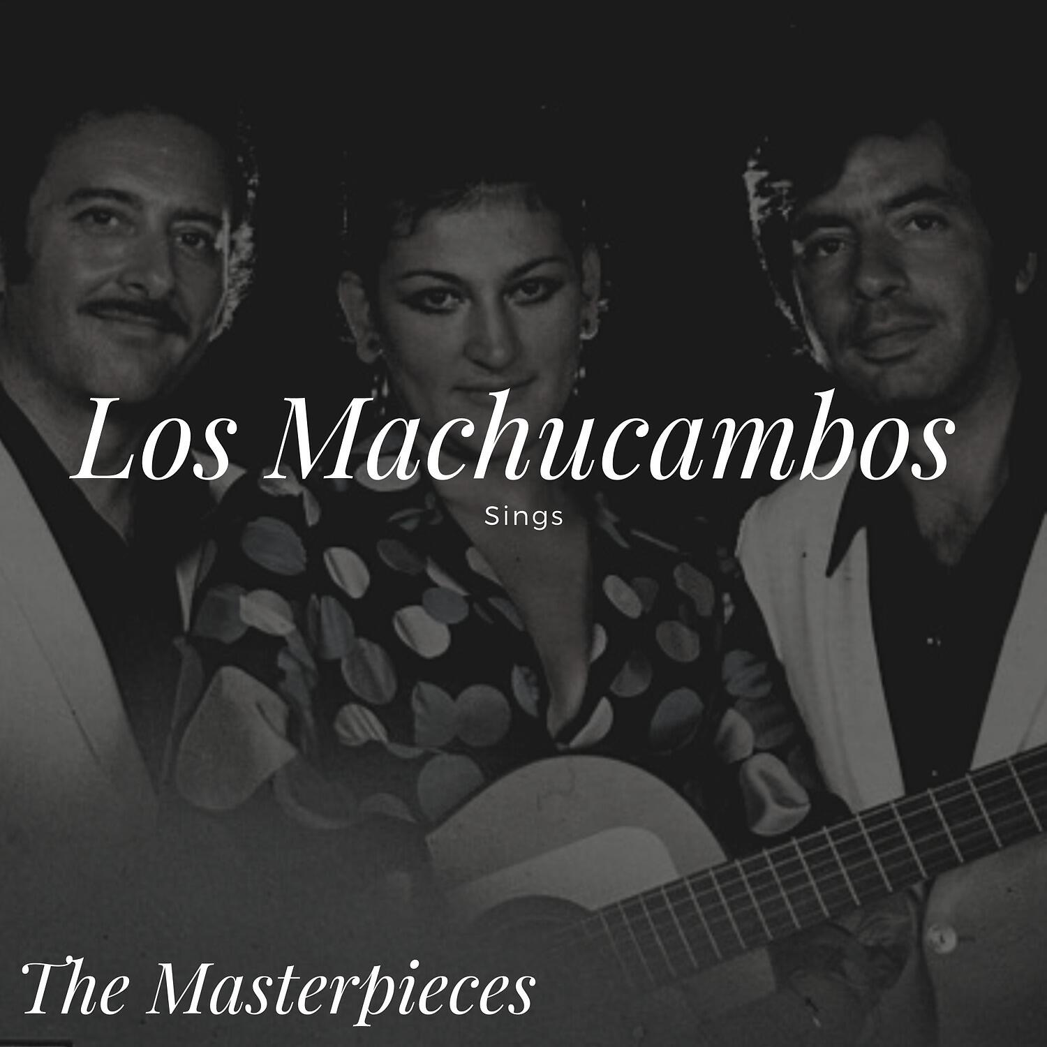 Los Machucambos - El Silbido de Ese Tren
