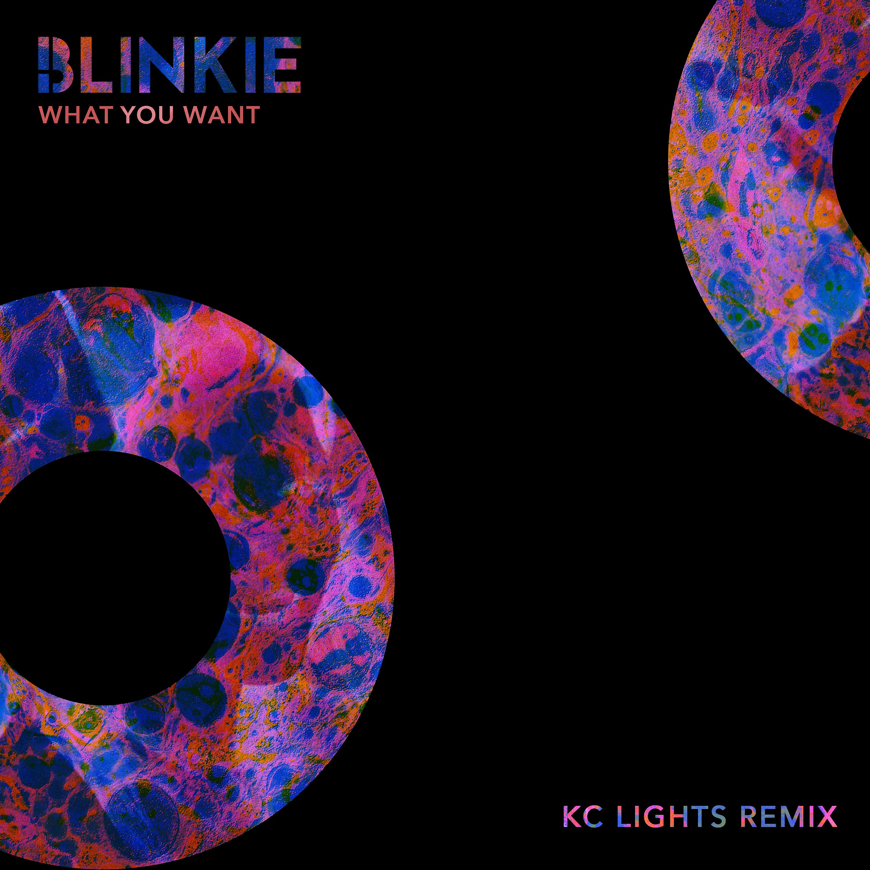 Постер альбома What You Want (KC Lights Remix)