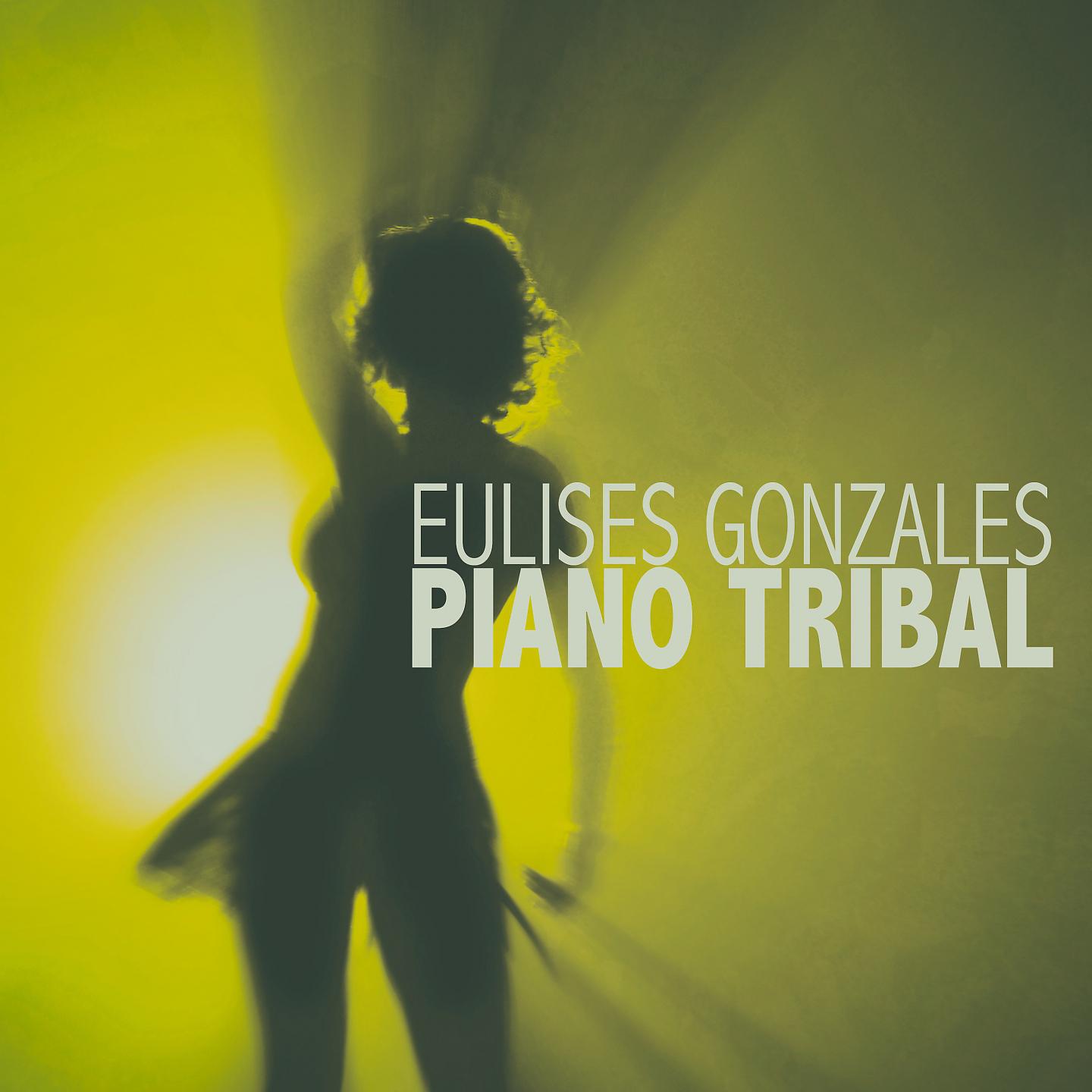 Постер альбома Piano Tribal