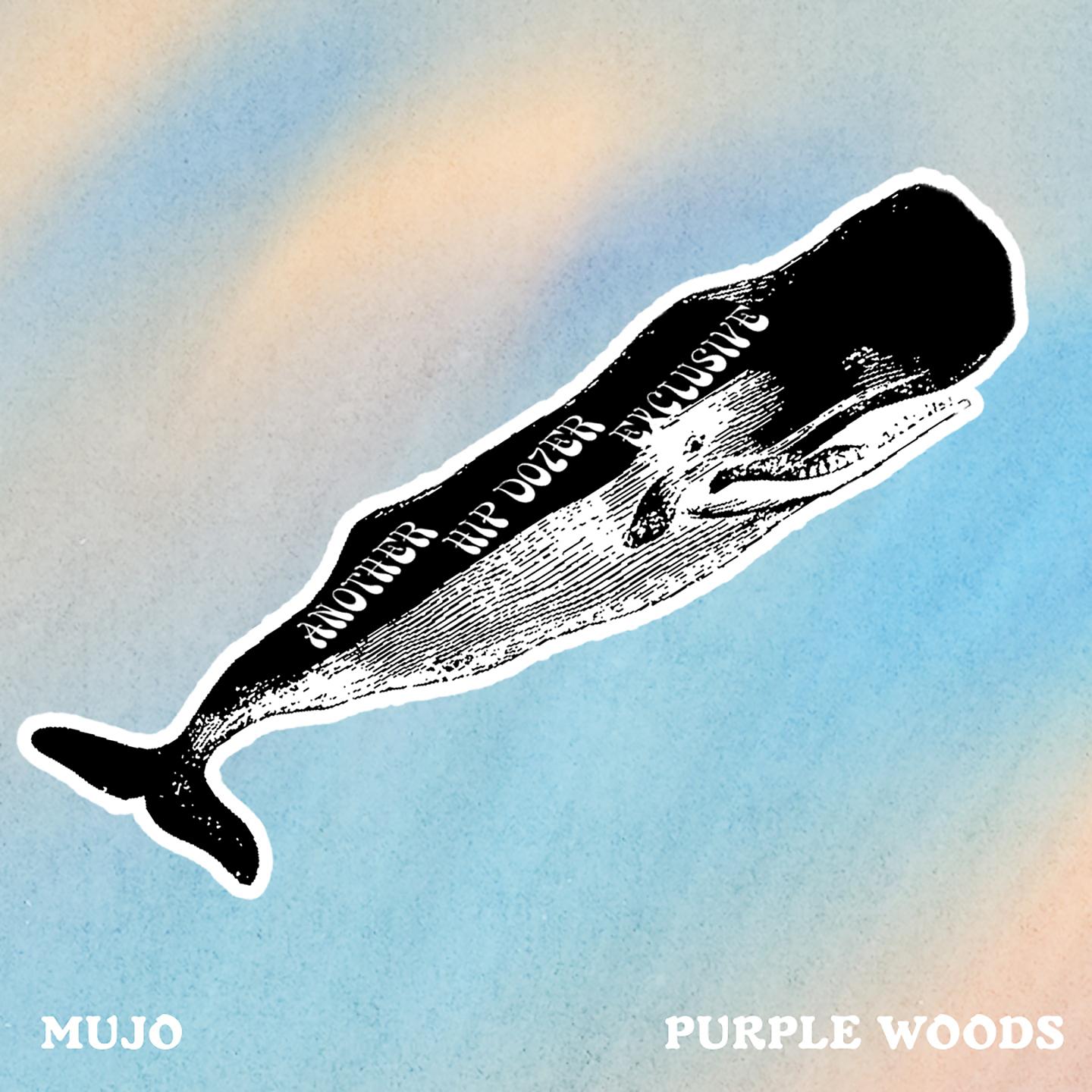 Постер альбома Purple Woods