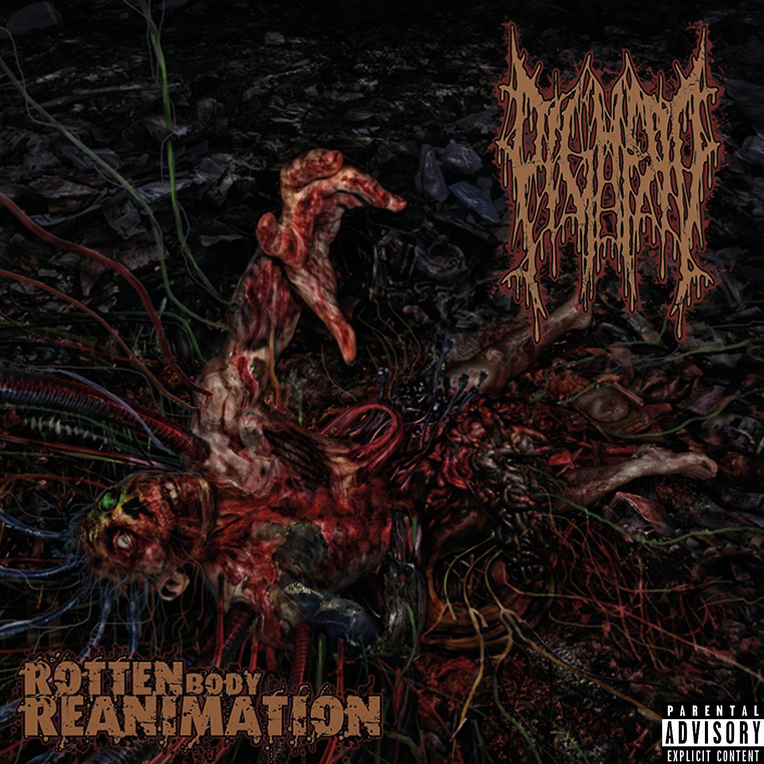 Постер альбома Rotten Body Reanimation