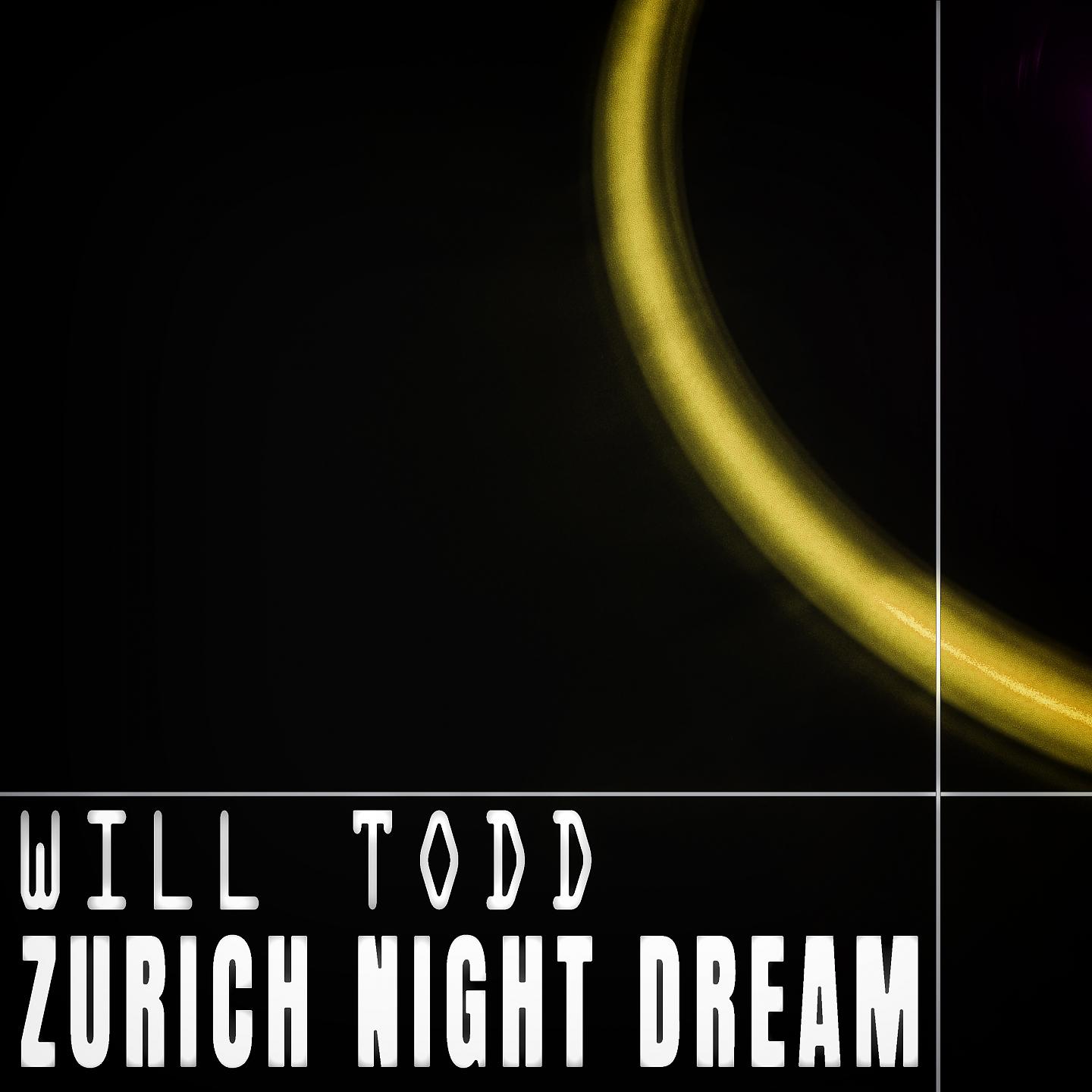 Постер альбома Zurich Night Dream