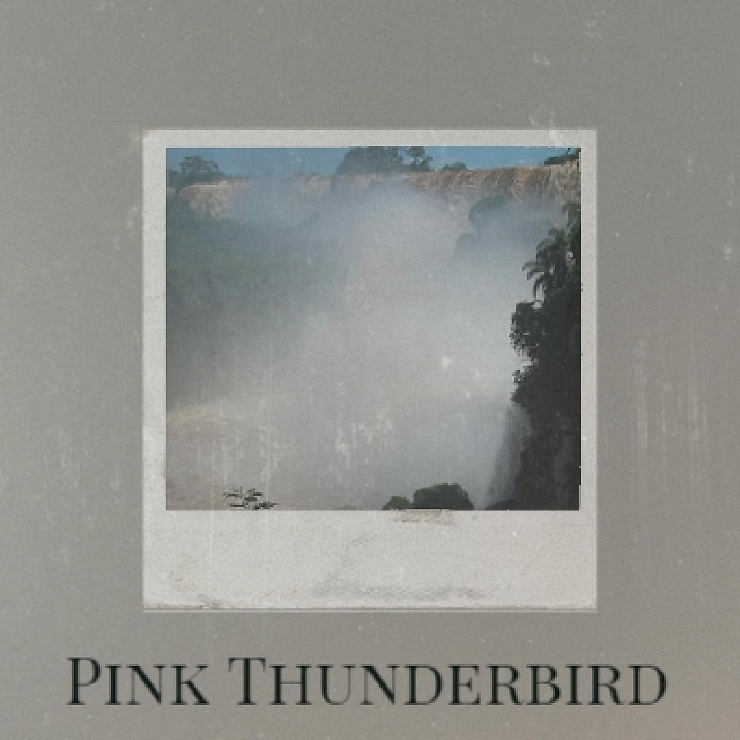 Постер альбома Pink Thunderbird