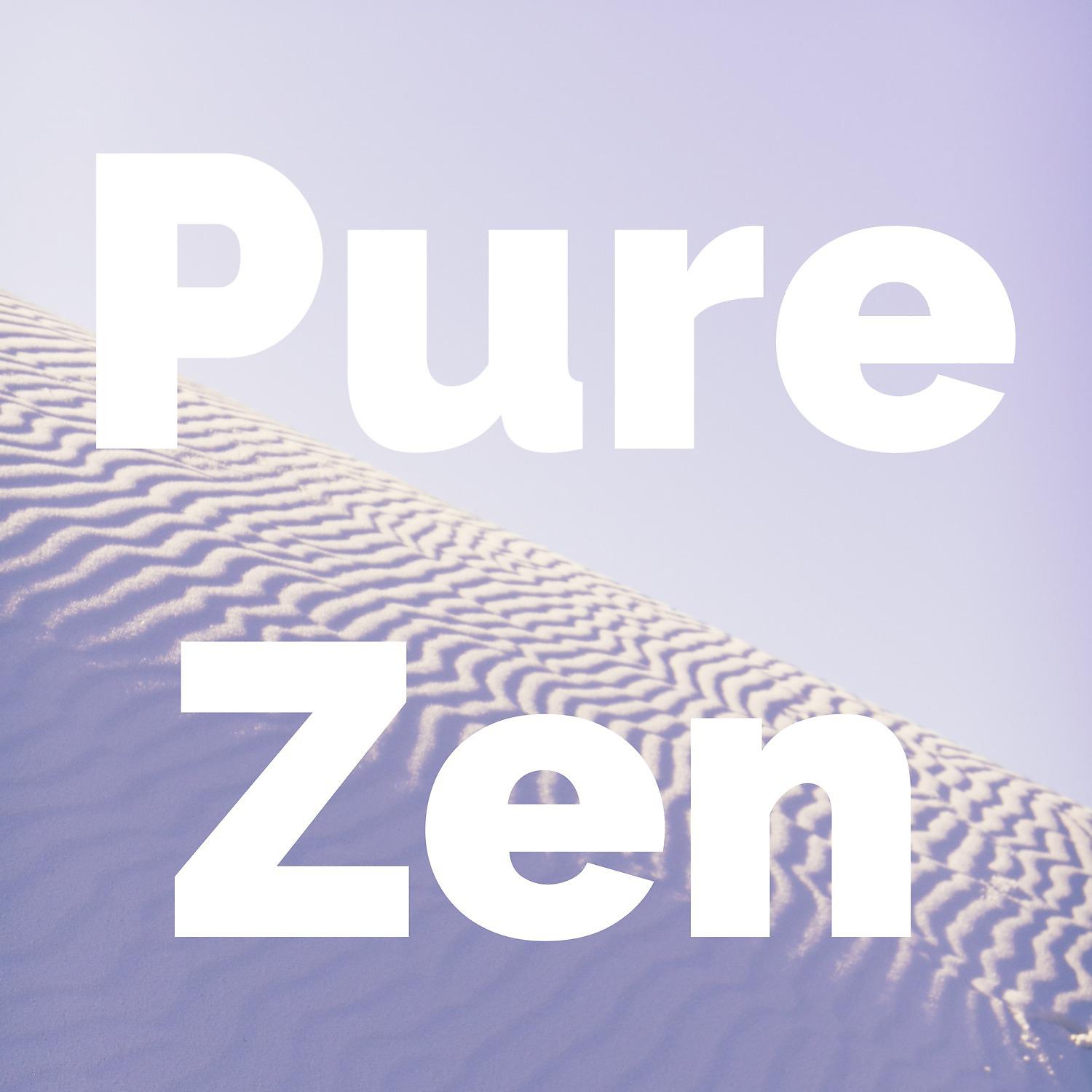 Постер альбома Pure Zen