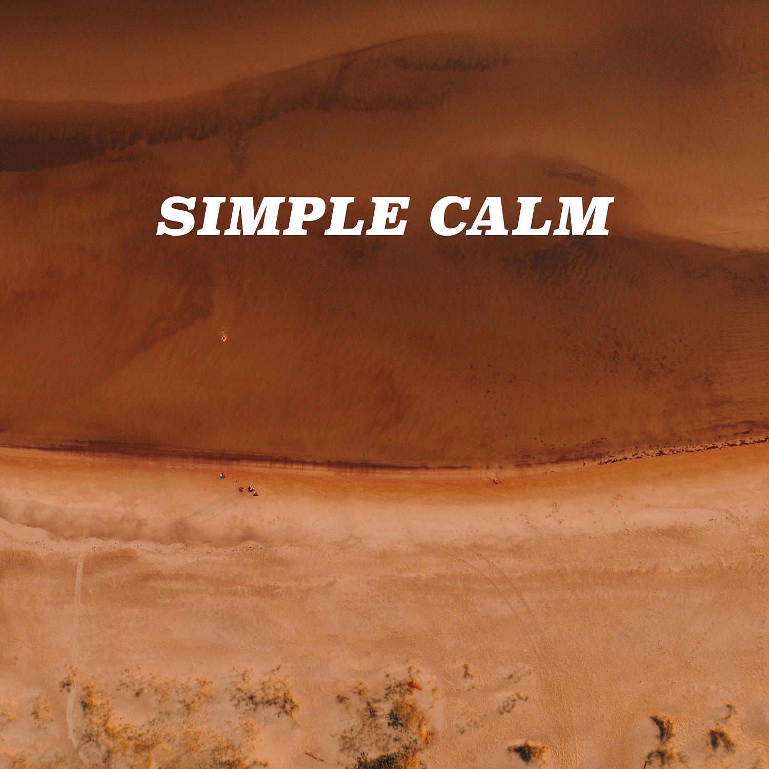 Постер альбома Simple Calm