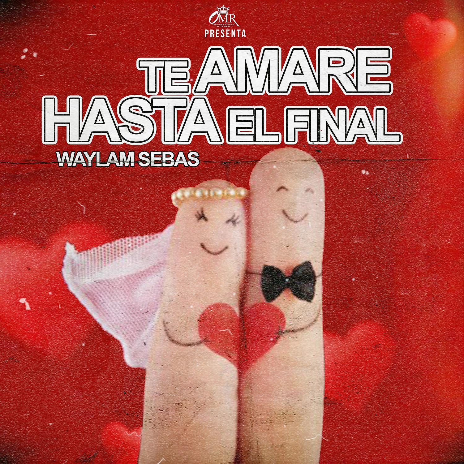 Постер альбома Te Amaré Hasta el Final