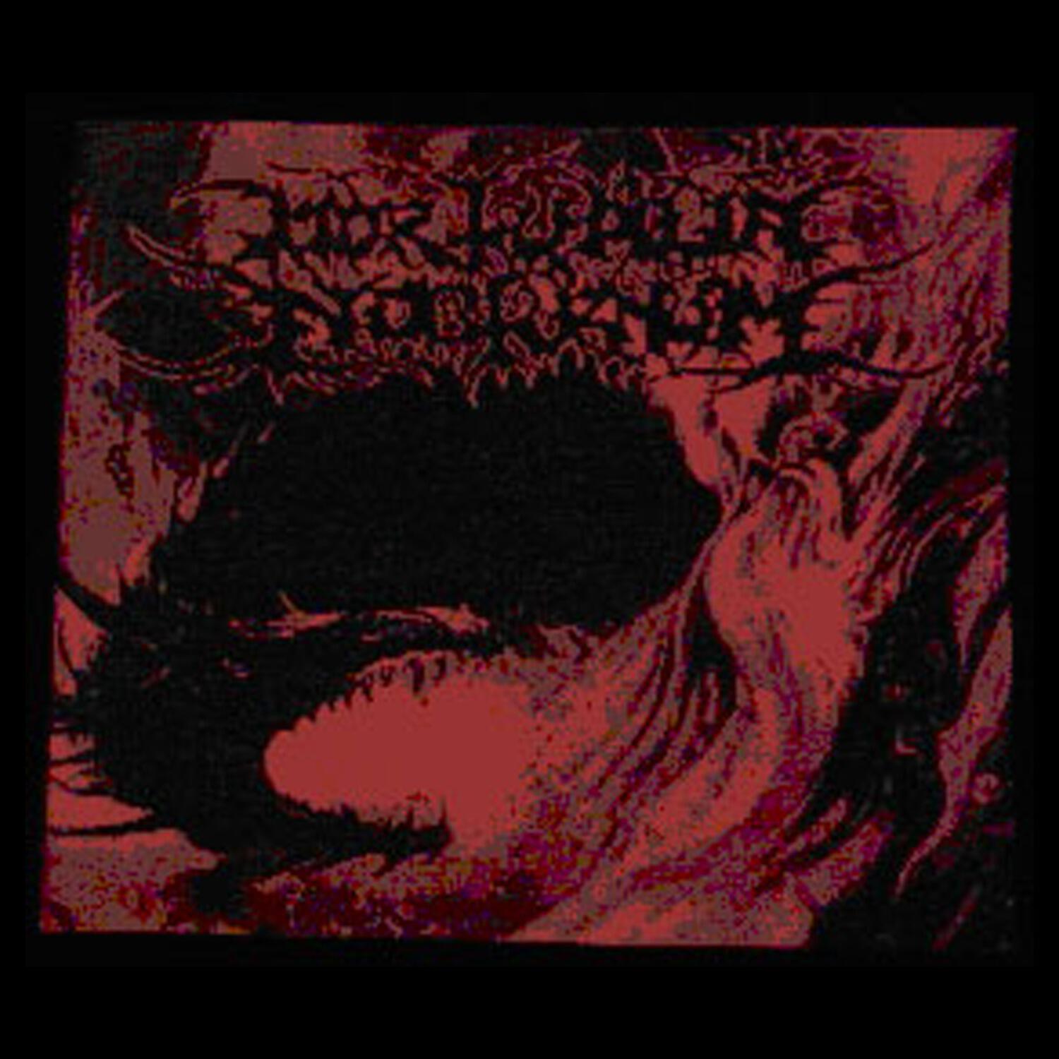 Mortualia Nocturnum - Malvagis noctiluca (Intro)