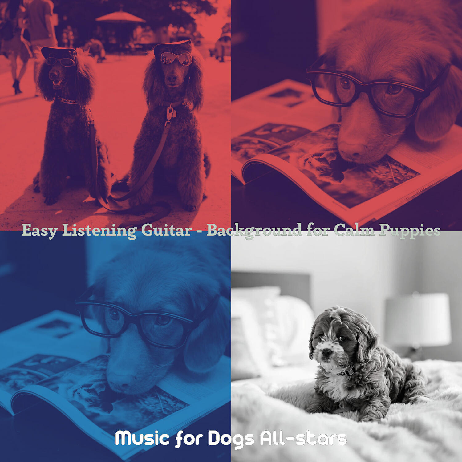 Music for Dogs All-stars - Bubbly Music for Walking the Dog